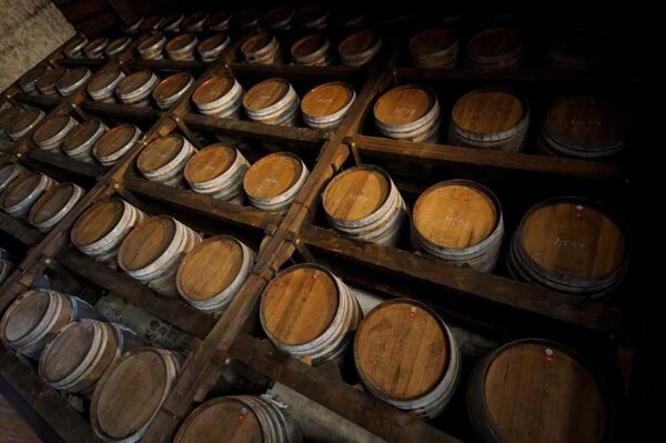 Aceto Balsamico 5lit.