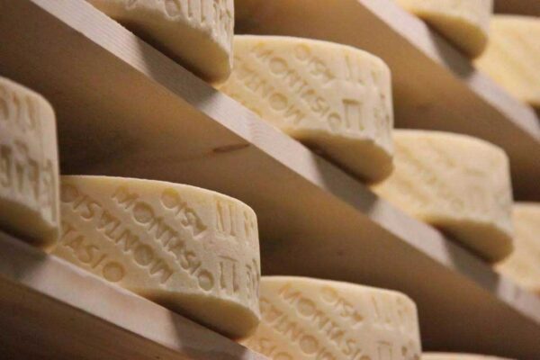 Montasio- kravlji polutvrdi sir Zanetti (dop Italija)