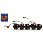 Amarena višnje s peteljkom u sirupu 890g/455g