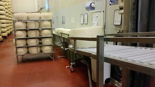 Parmigiano reggiano 24 mjeseca cijeli kolut- Zanetti