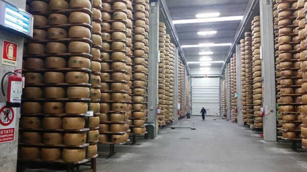 Parmigiano reggiano 24 mjeseca cijeli kolut- Zanetti