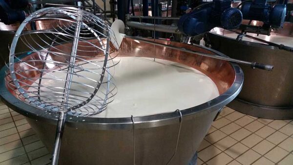 Parmigiano reggiano 24 mjeseca cijeli kolut- Zanetti