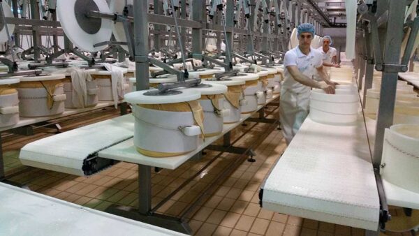 Parmigiano reggiano 24 mjeseca cijeli kolut- Zanetti