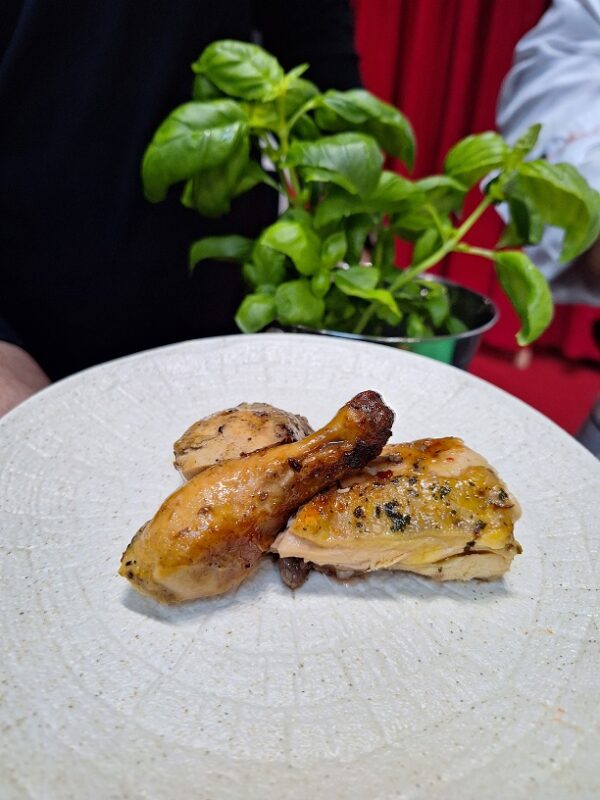 Mladi pijetao coqoulett 500g (brzo smrznuto)