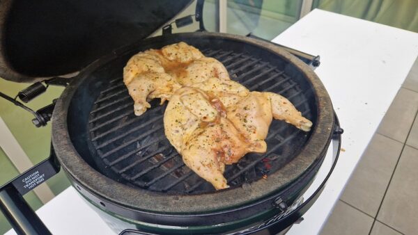 Mladi pijetao coqoulett 500g (brzo smrznuto)