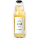 Sirup od mente CRAFT (750ml)